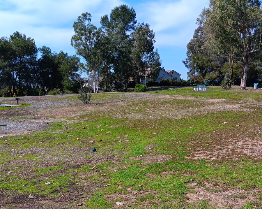 Sandburg Park woodchips on the hilltop